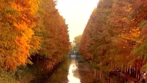 兴发娱乐[苏州景物园林设计,苏州景物园林施工,苏州文物古建修缮,苏州香山制造,苏州园林设计,苏州景物园林设计,苏州园林制造,苏州景物园林制造,苏州古修建修复]