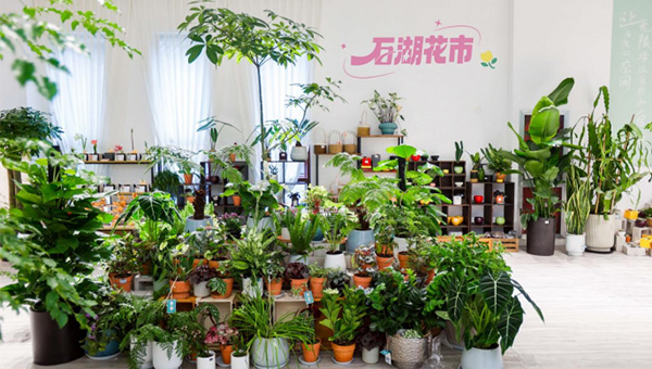 兴发娱乐[苏州景物园林设计,苏州景物园林施工,苏州文物古建修缮,苏州香山制造,苏州园林设计,苏州景物园林设计,苏州园林制造,苏州景物园林制造,苏州古修建修复]