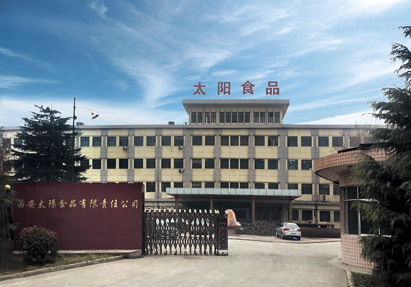 西安太阳食品有限责任UG环球简介